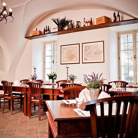 Hotel Zamek Zabreh 4*