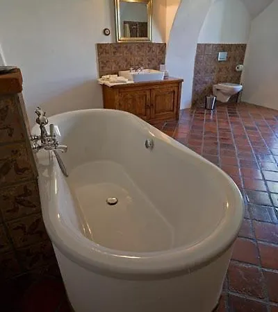 Otel Zamek Zabreh 4*